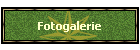 Fotogalerie